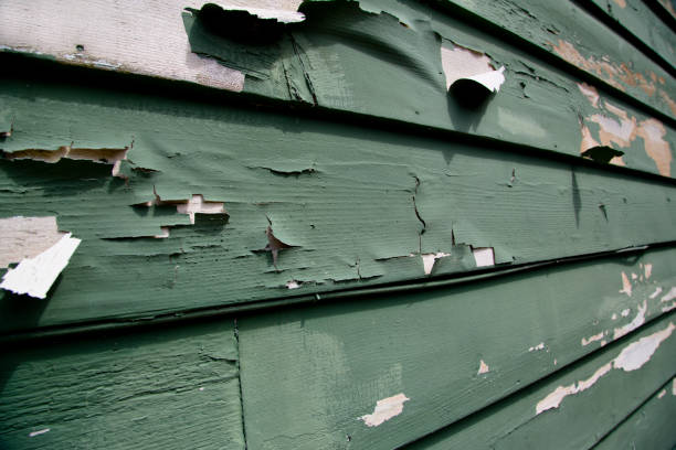 Best Construction Debris Removal  in Poinciana, FL